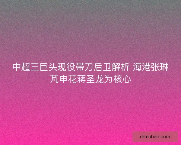 中超三巨头现役带刀后卫解析 海港张琳芃申花蒋圣龙为核心