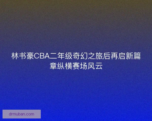 林书豪CBA二年级奇幻之旅后再启新篇章纵横赛场风云